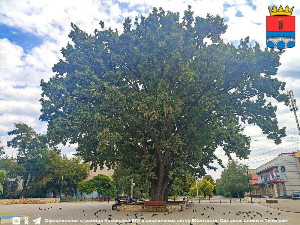 ������ ����, �������!. @VGA_Kakhovka