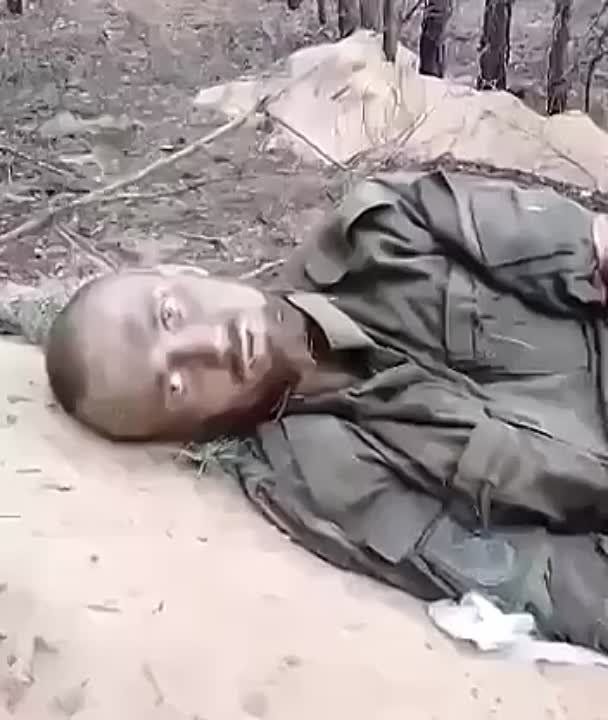 ���� ����� �� ���������� ����� �� ������ � �������� ���������� ������ ������ ��������������� �������������