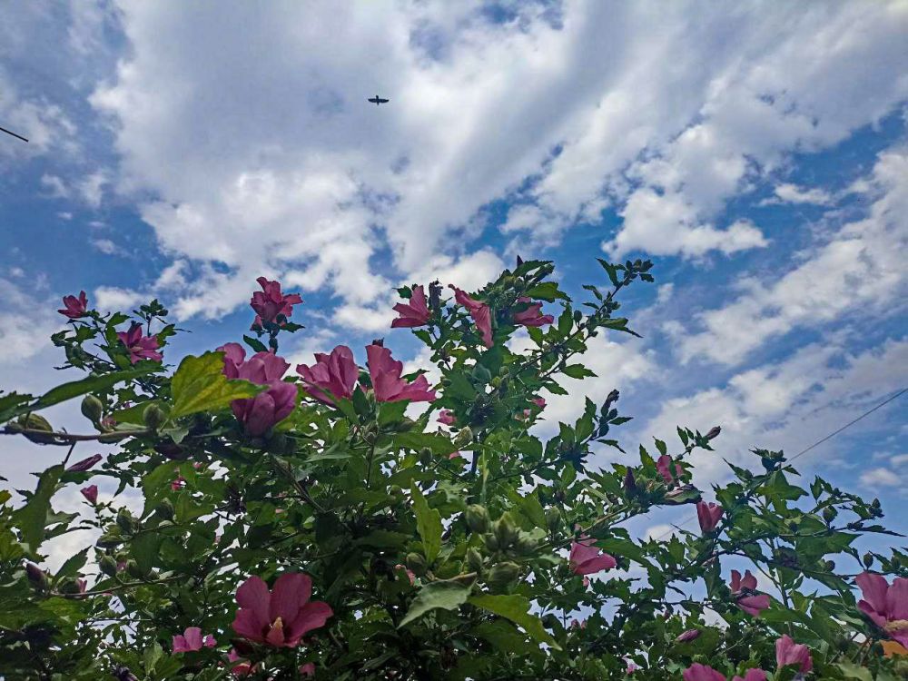 � ������ �����, �����������!