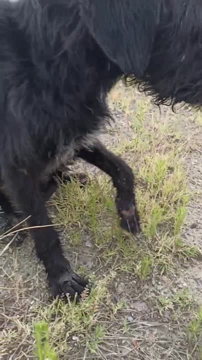 ��������� ���� ������ �� ����� ����������� �������� ������� - ������������ ������ ���������� ������� - ��� ��������, ��������� � ����, ����������� ����� ������������� ����������, ����� � ����������� ������������ �������