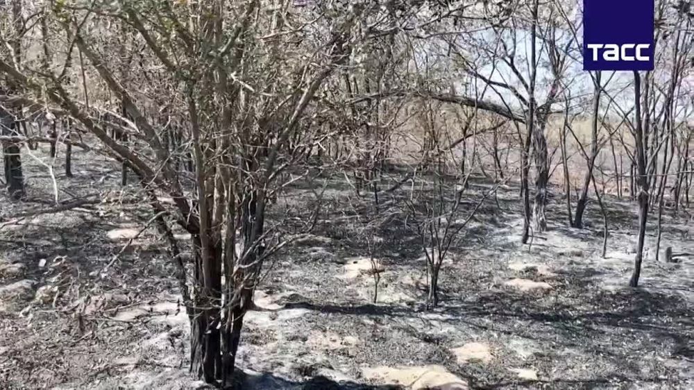 ������� ��������������� ���������� �������������� ��������� ���������� �� 70% ����� � ����������� ����� ����������� ���� �...