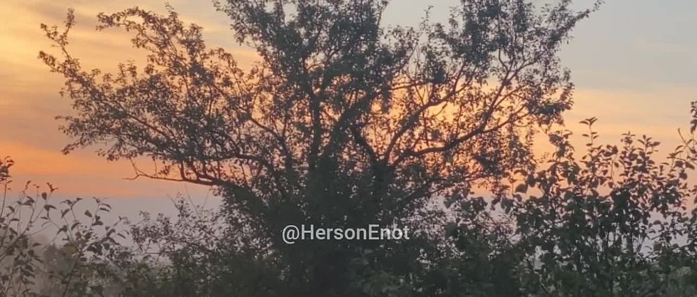 ���� �� �������: ��� ��� �������� ��������� ��� �������� ��� ���������