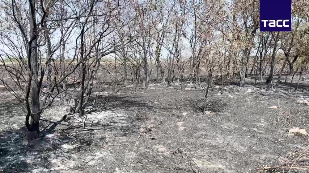 ����������� ���� ������� ��������������� ���������� �������������� ��������� ���������� �� 70% ����� � ����������� �����...