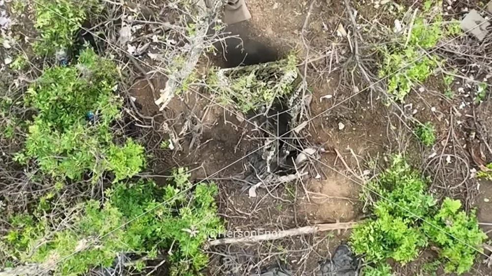 ���� �� �������: ��� �� ����� ����, � ������� ������ ���� ����� �������