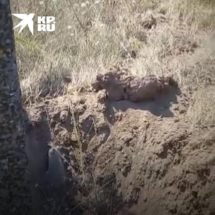 ����������� �������� ��� ������� �������� 28 ������� 2023: 19 �������� �� ���� �������