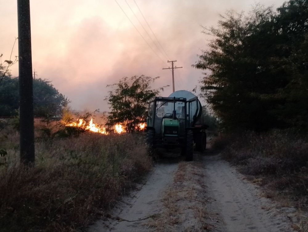 ������ ����������� �������� ������� ����������� �����