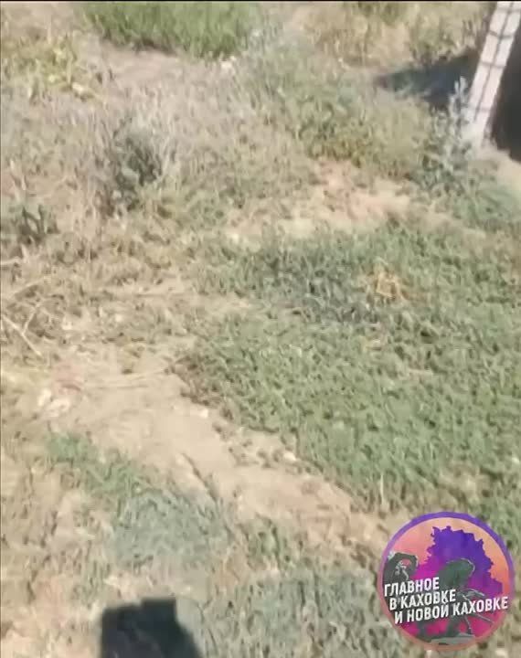 ��-�� ����������� �������� ������� ��������� ����� ������� ����������