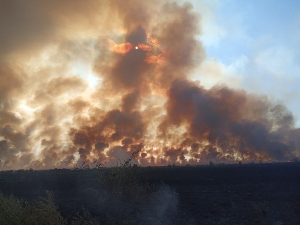 �� ��� ������ �� ���������� ������� ������������� � ������� ��������������� � ���������� �������