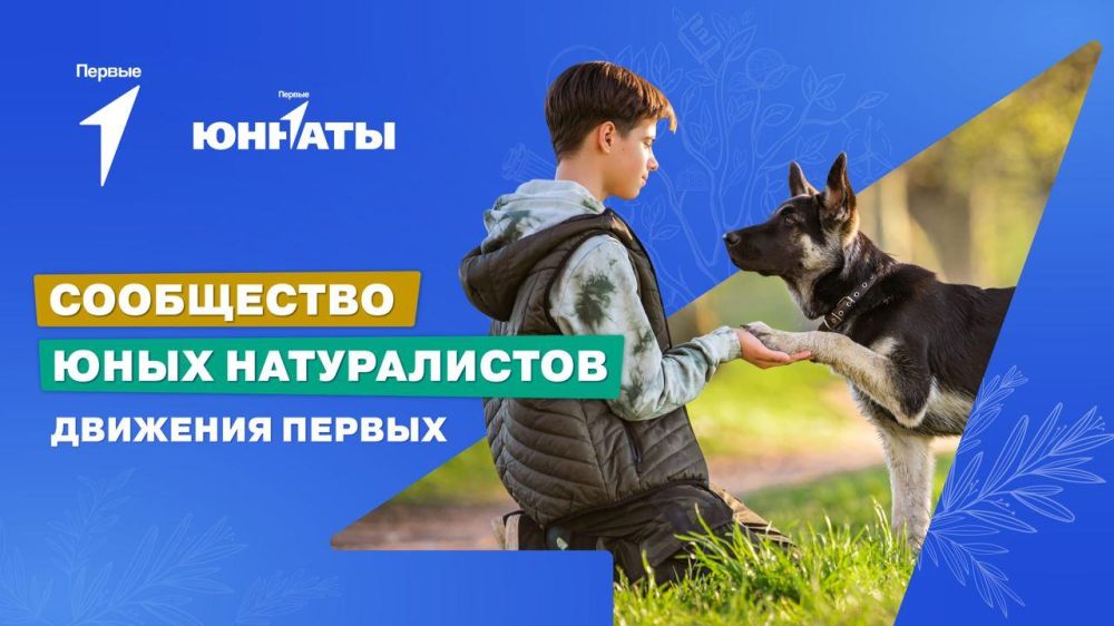 ������ �������� �������?. ������������� � ���. ����� ������ ���������� ���� ������������ �������� ������! ������� ������ ��...