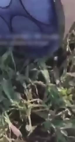 ��� ����������� ������������ ��������� �������, ����� ������ �� ��� ������ ��� ������