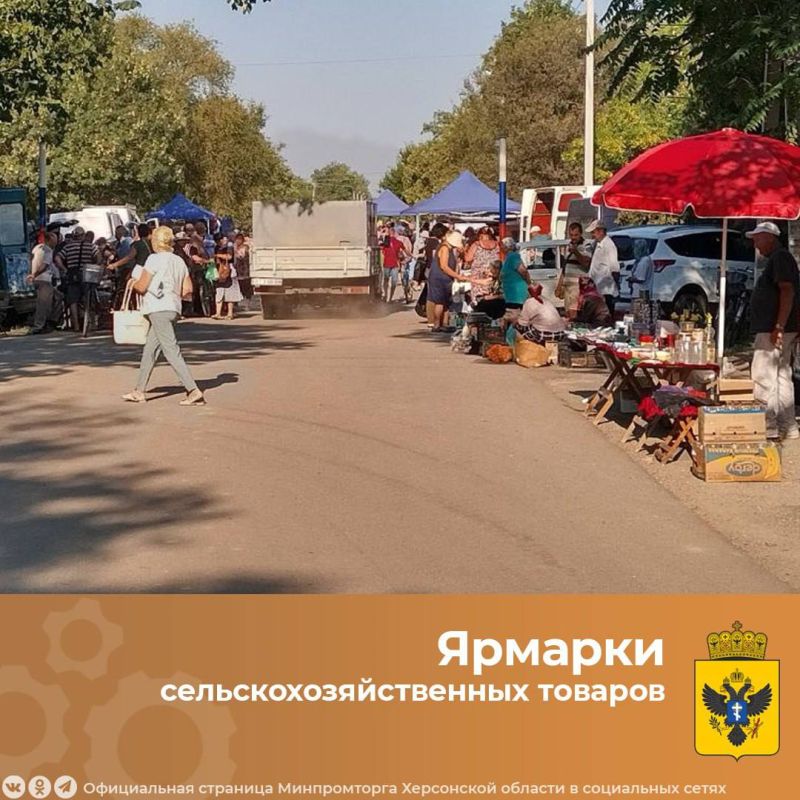 ����������� ���������� ������� ���������� ������������ ���������� �������������������� �������