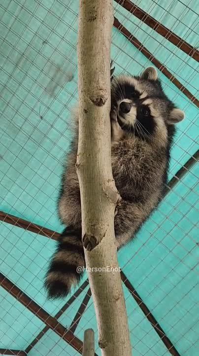 ���� �� �������: � ���� ��� ���� �� ����� ������ �������� �����, � ���� �� �����, ��� �� ������