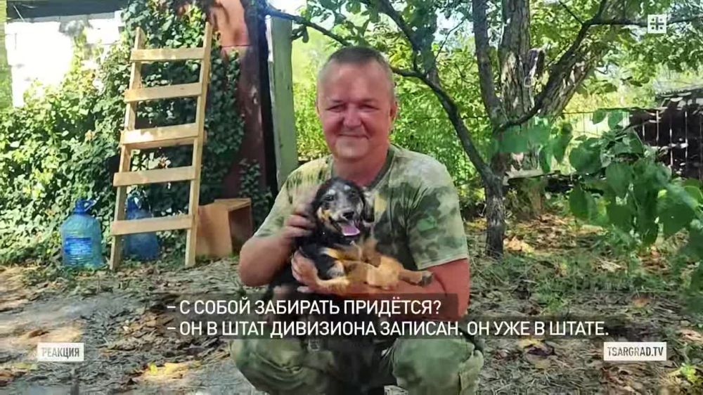 ������� �� �������, � ������ ���������� ����: ���� ���� ��������� ����� � � ���� ������