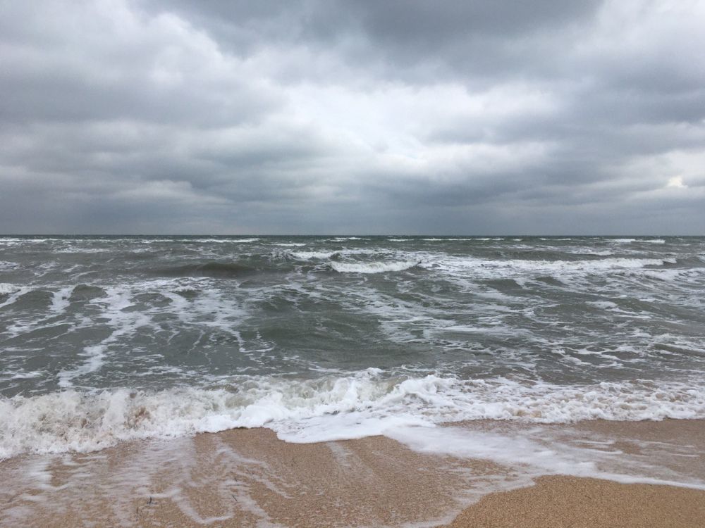 ������������ ������� ������!