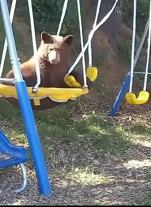 ��� �� ��� ������ ������������� � ����������� �� �����������.