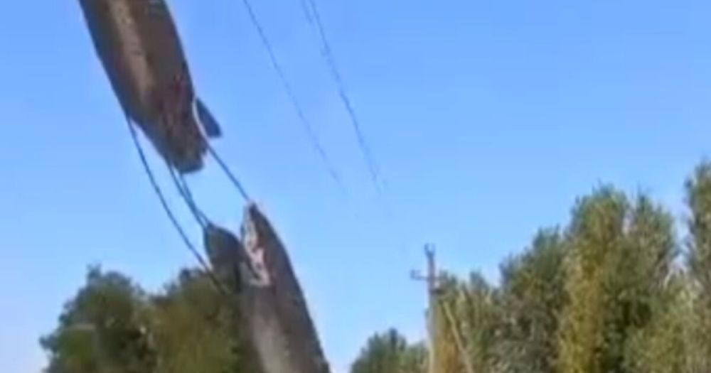 ��� ���������� ���������� � ��������� ������