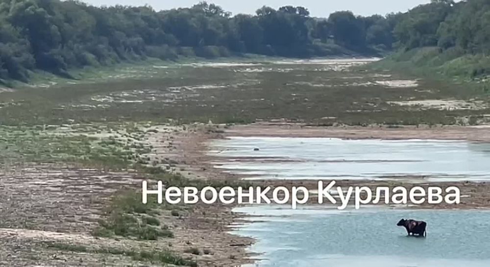 ����� ������-��������� ������ � ���������� ������� ��� ��������� ��������