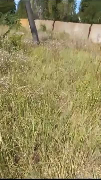 ����������� �������� ���������� � ���������