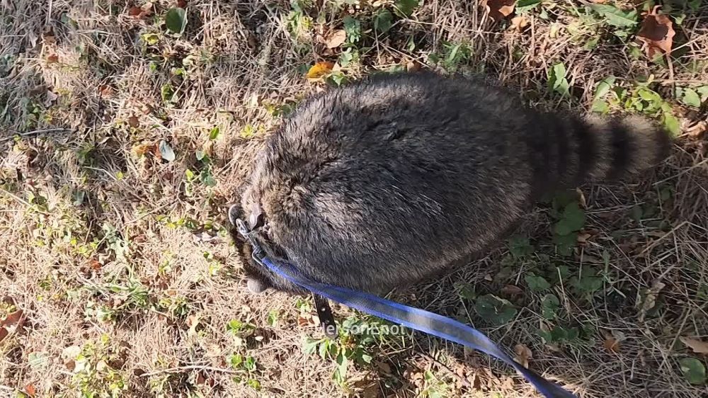 ���� �� �������: �� ������, ������! ��������� ����������, � �� �������� � �������� @HersonEnot ������ �������� � ��������� ����� ����������