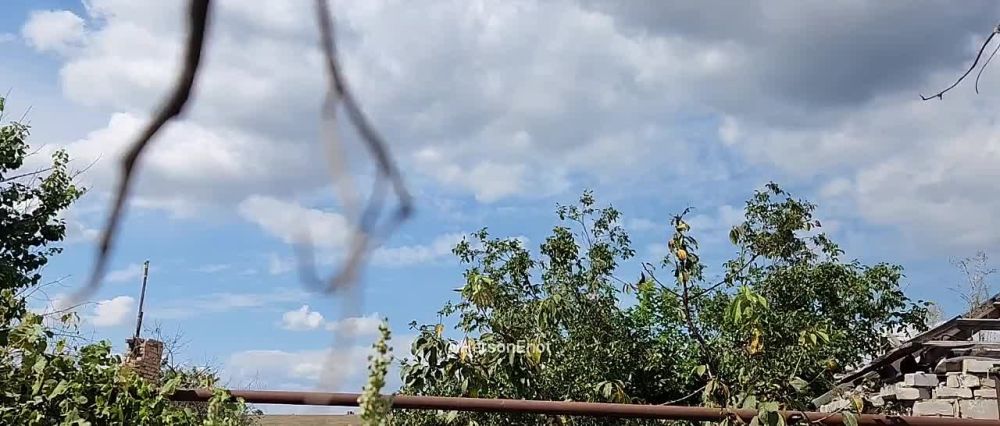 ���� �� �������: ��� ����� �� ������ � �� ����!