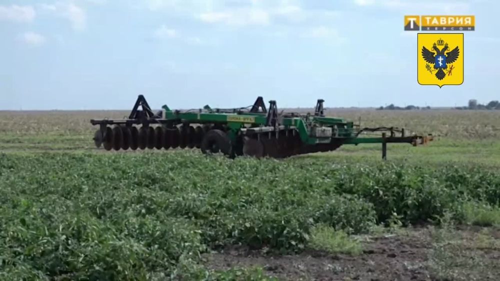 �������� ��� ���������� ��������