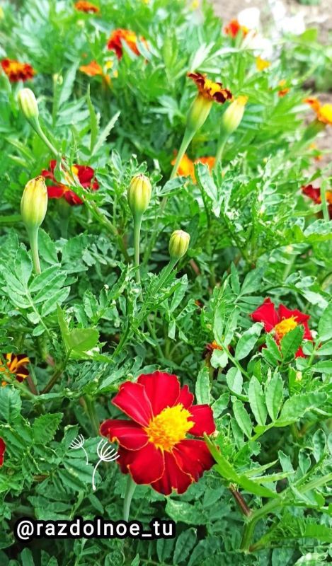 ������ ����, ����������!. ����� ������ ���� ������ ����� ������ ���� ��������� �� ��. ����� ��� ����� �����������...