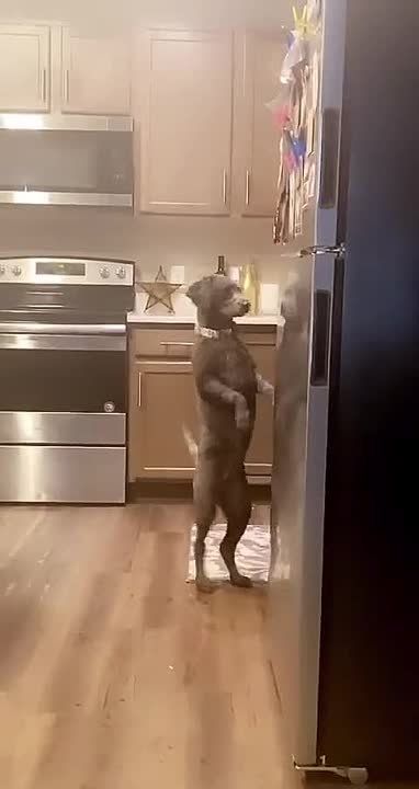 ����� �������� � ������ ����