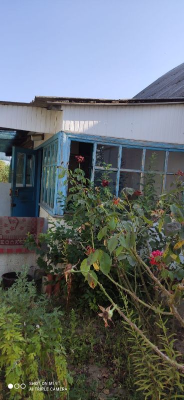 ����� ���������� ���� �� ������ ��������� � ���������