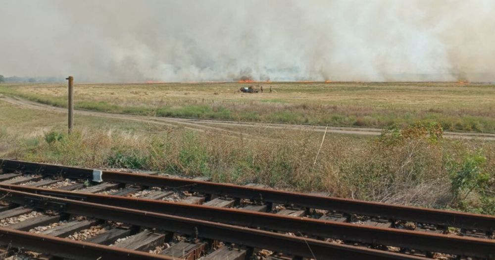 ��������� �������� ������ ������� �� ����� � ���������� �������