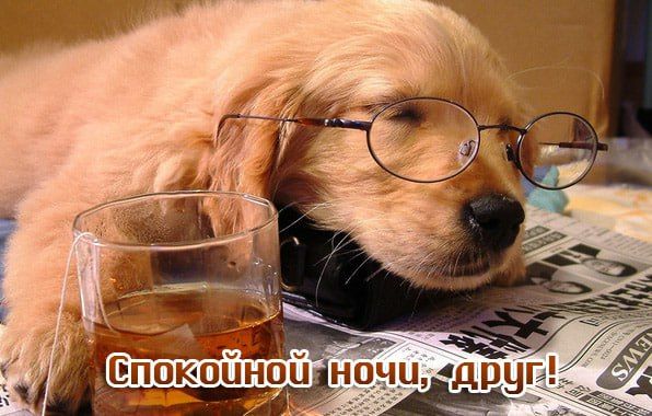 ��������� ����, �������! ��������� ����.