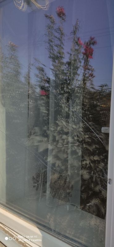 ��� ���������� �������� ����� �� ���������, �� ��� ���� ����, ��� ��� ���������� ����� ���� �� ������������, ����� �� �������� ��� ����������� ������ ���� ���������� ������