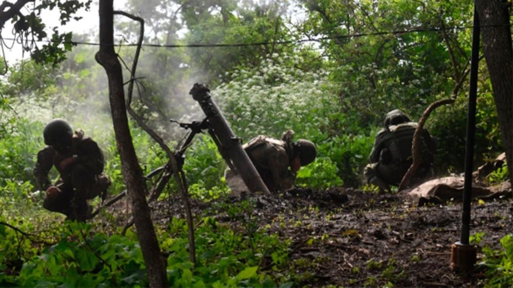 ���������� � ���� ��� �� ���������� ����������� 29 ������� 2023