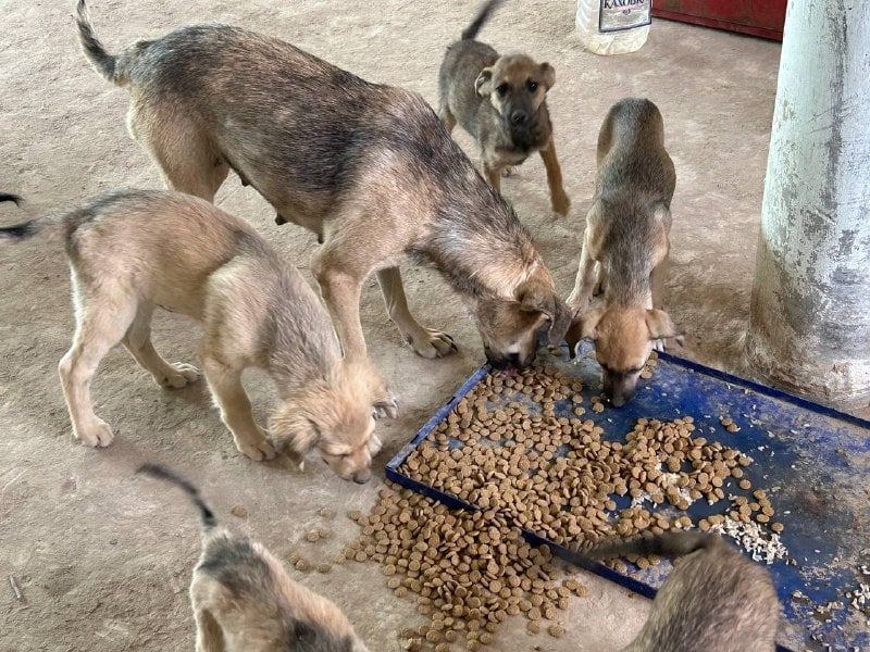 �������� �������������� ���������� ������ ����������� ������ � ������ ������ ��� ��������� ��������