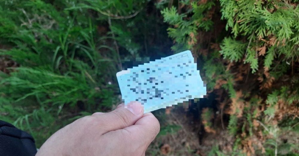 � ��������� 19-������ ������������ ��� ������ �� ���� � ����������� �������