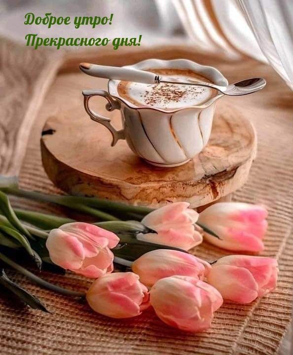 ������ ����. ������� � ������� ������ ���� ������ �� ����� �������� ������, ������� ����������� �� ������ ������. ��� �������. ����������� �� +22 ����� �� +34 ����