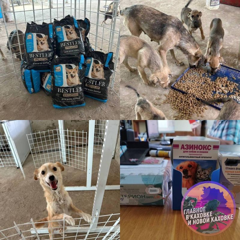 � ������������� ������ �������� ����� � ������ ��� ������ ��������� ������ ��������