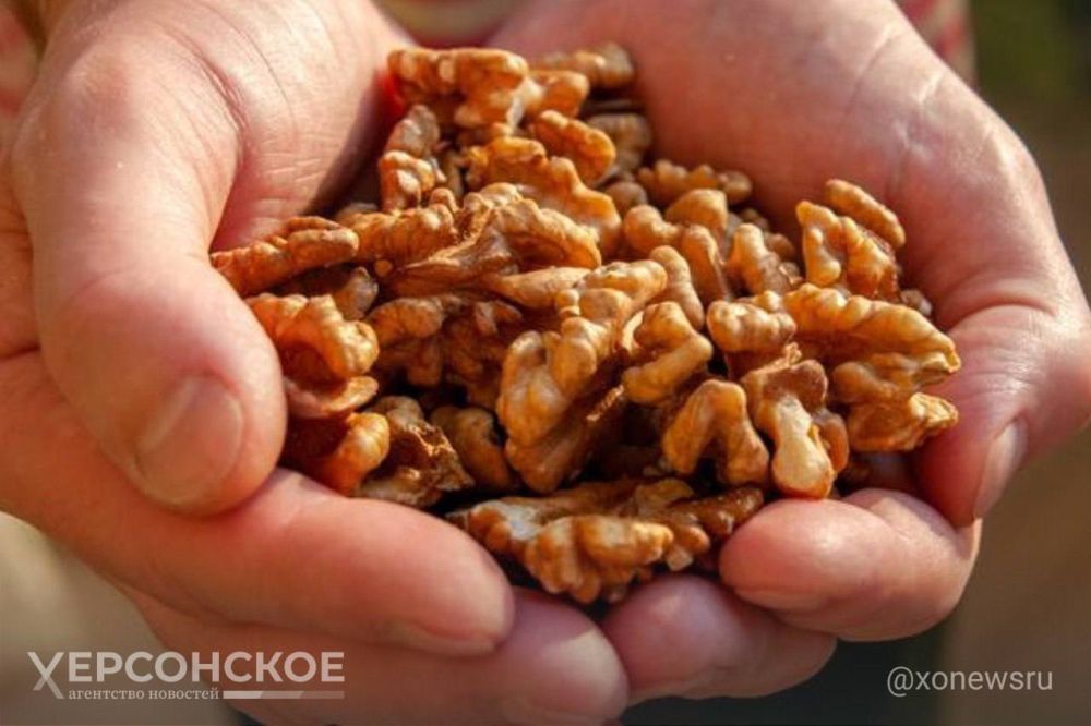 ����������� � �������� ���� �������� ������� ������ ������� ������ � ��������