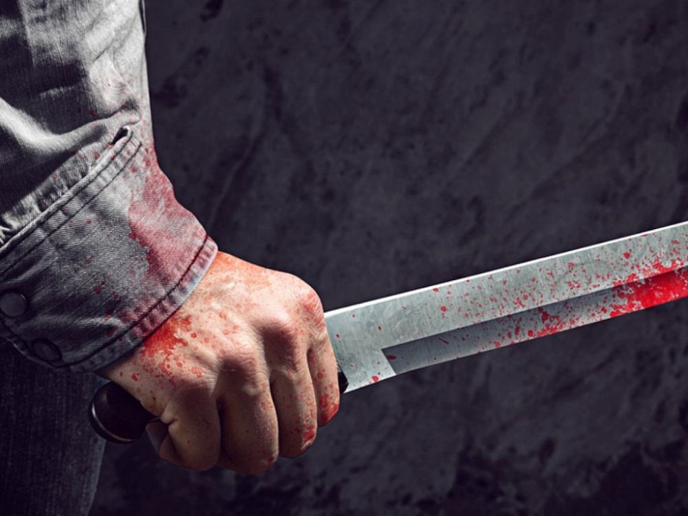 �������� �� ��������: ������ ���������� ����� ������������ 36 �������