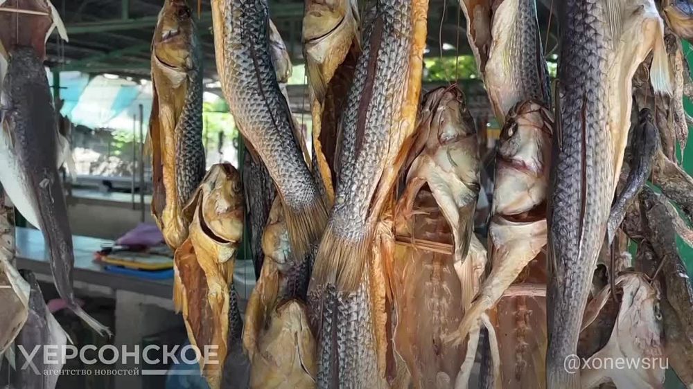 ������ �� �����! ���������� ��� ������ ���� � �������� ��������� ����