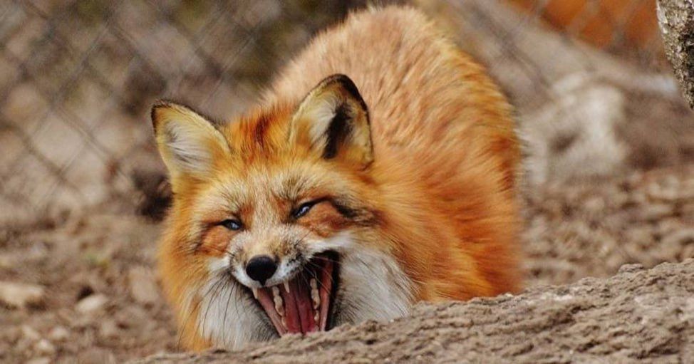 ������ ��� ��������� �� ����� ����, �������� ����������