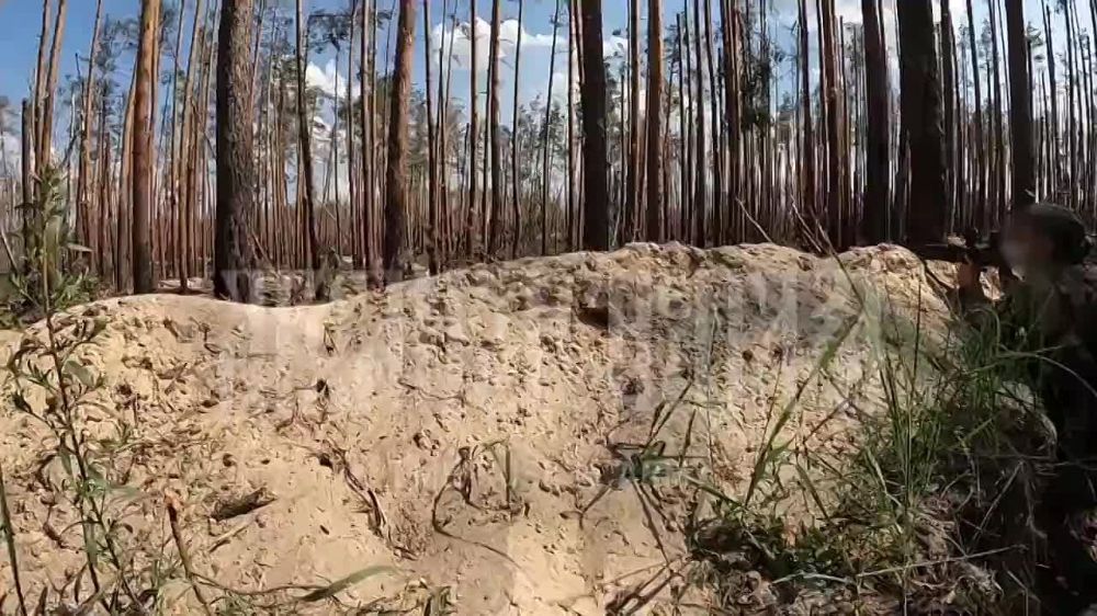 ����� �������� � ���� ���������������� ����������� �������