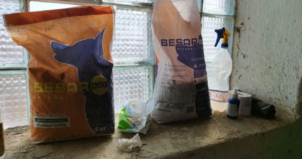 � ����� ������� ����� ��� �������� �������� ������ �� ����������