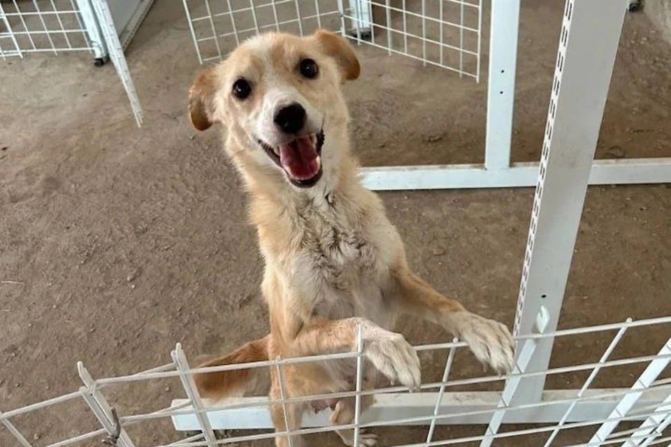 � ����� ������� �������� ����� ��� ��������� ��������