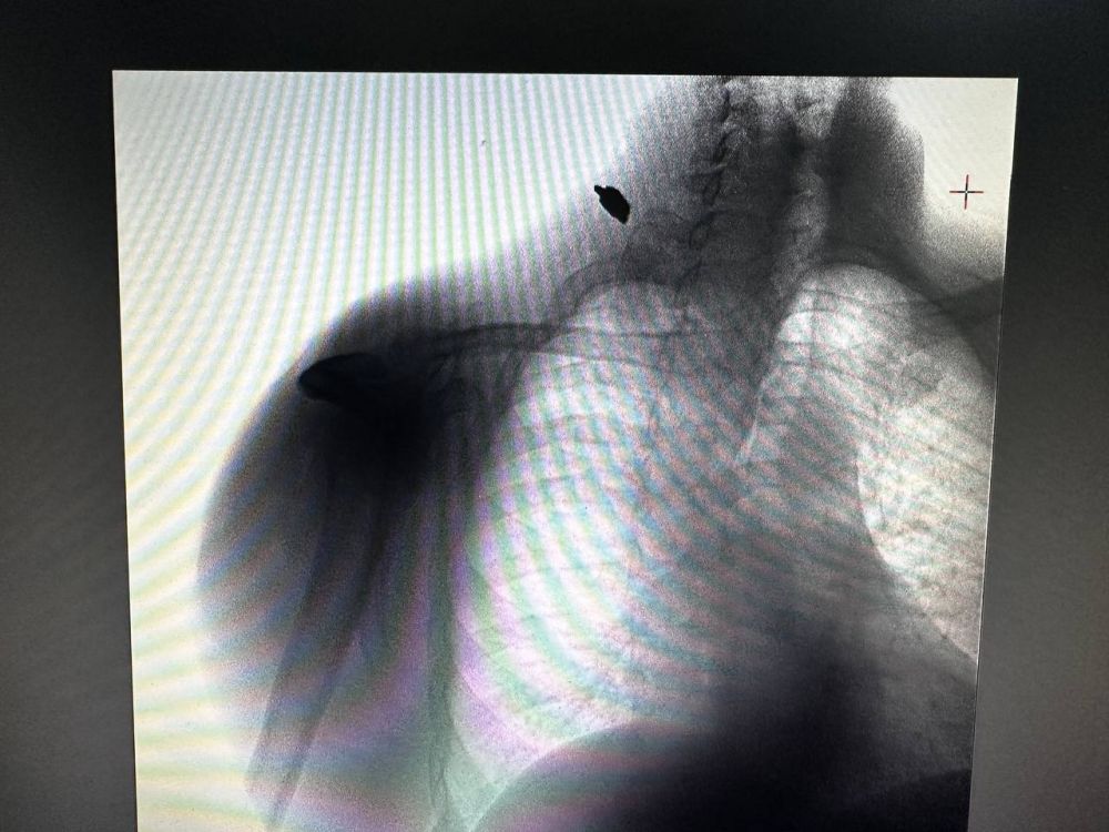 ����� ������������ ������-�������������� ��������� ������ ������ ����� ������� � ���������� �������� �� ������� ��������