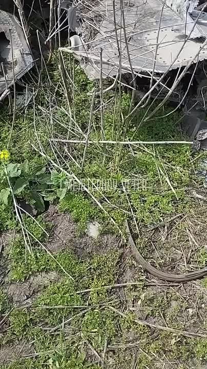 ���� �� ������ ��-25 �������� ��� � ���� ���������� ���