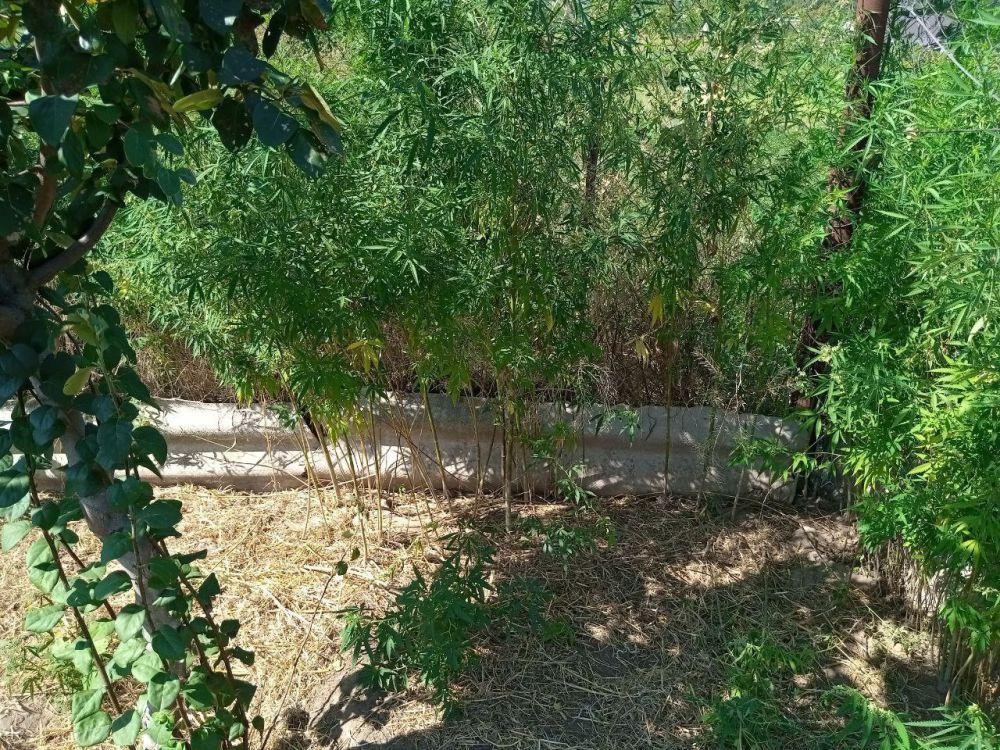 ����������� ������ � ������ ������� ��������� 126 ������ ������� � 2 �� ���������