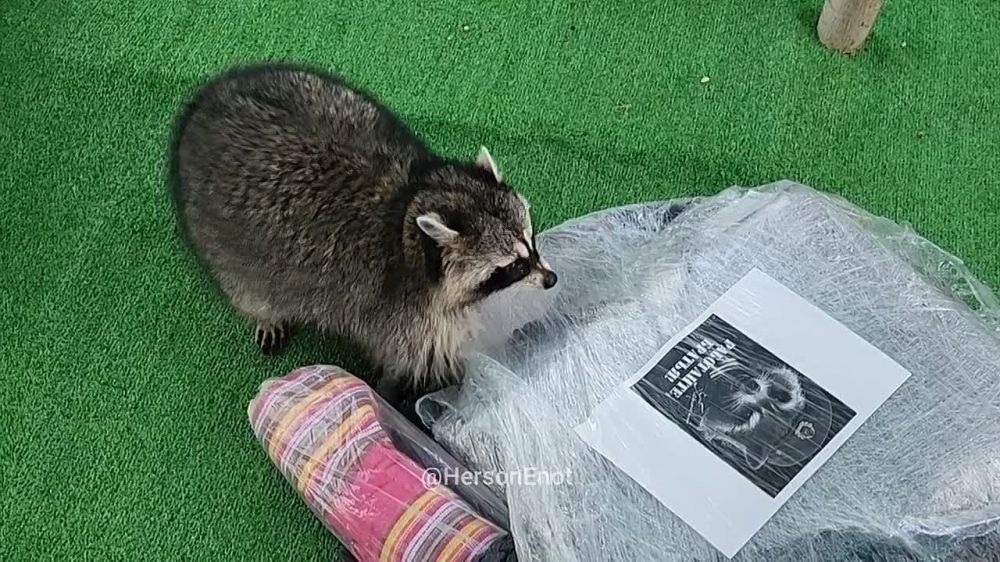 ���� �� �������: ����� �� ��� ������� ������ ������� ���� ��������