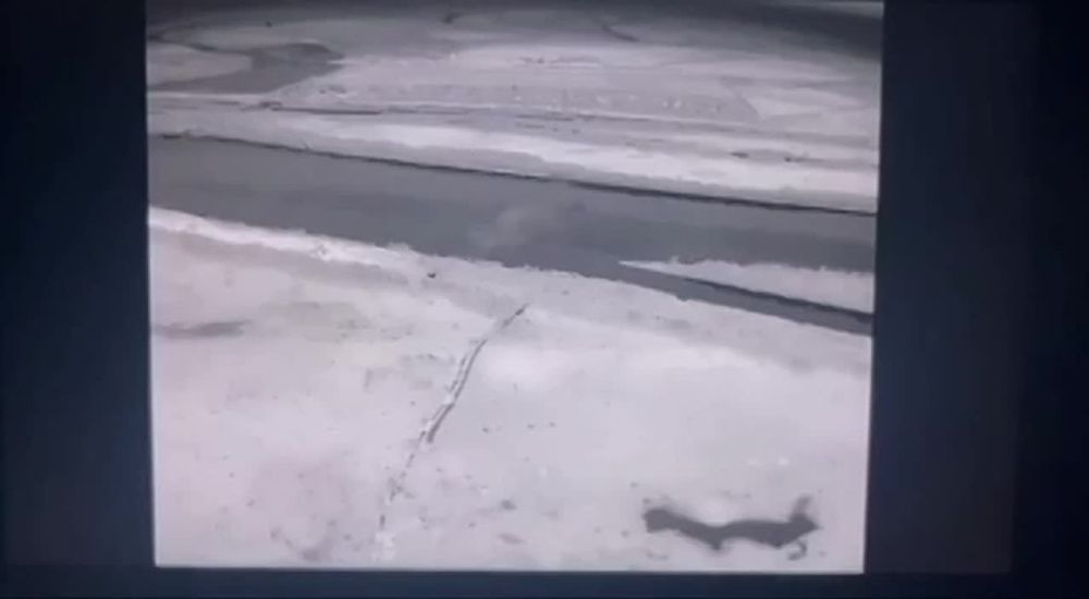 ����������� "�����" ������� ������������ ���� �������������� ��� �� ���������� �����������