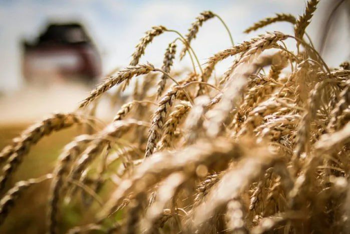 �� ����� ����������� ����������� ���� ����������� �������� �������