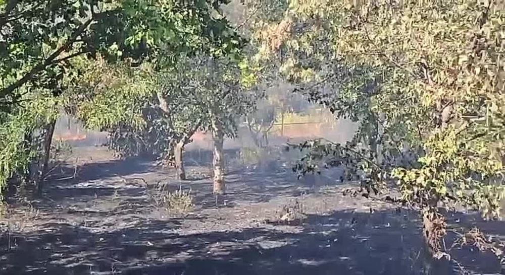 ����� ��������: ����� �������. ������ ��� ����� � ������� ����� �������� �����,� ������ �������� ���.������ �������� ����������� �����